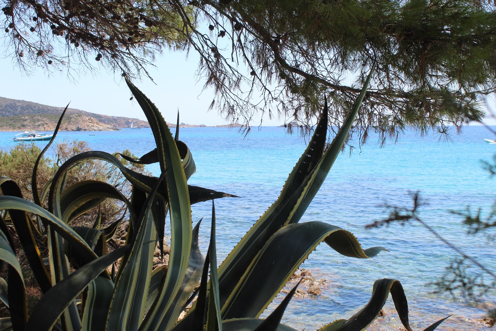 A Caribbean Like Dream Beach In The Mediterranean Sea